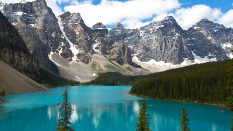 A glacial fed lake of vivid turquoise with lone standing pines in the foreground. In the distance are ice capped mountains enveloping the lake and a blue sky with white clouds. 