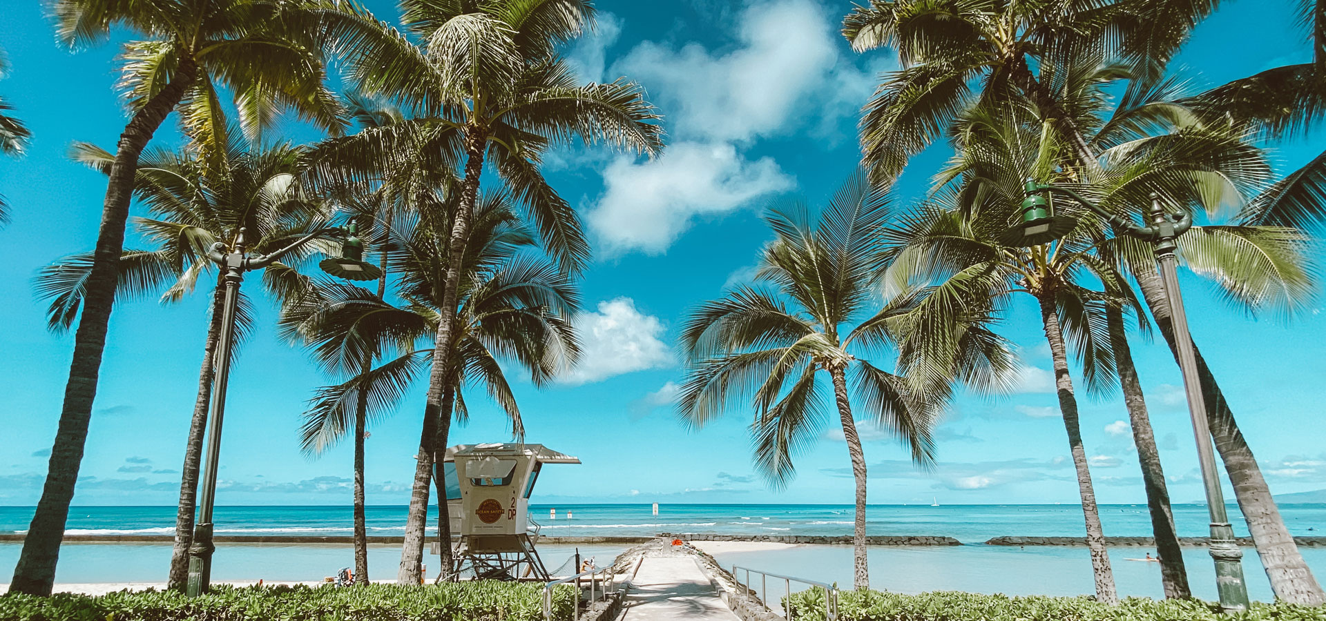 Palm trees hugging the shoreline showing a path leading to a break-wall that separates the calm water from the ocean. A lifeguard tower stands to the left of the path overlooking breaking waves in the distance.