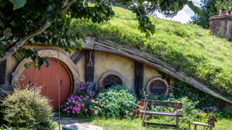 A Hobbit House set into the side of a grassy topped hill with a large round brown door and circular windows. The front garden is highlighted by green shrubs, colourful flowers and a wooden bench seat in the sunshine.