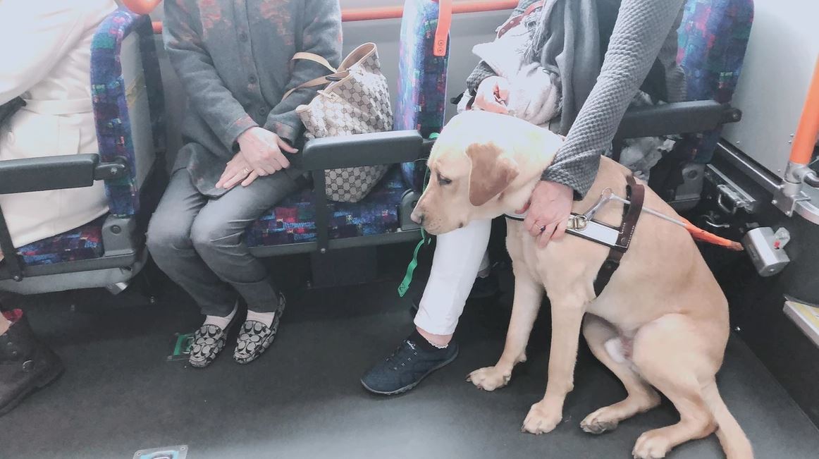 Nixon sitting by Nina on the bus