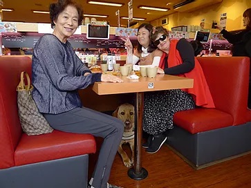 Guide Dog Nixon sitting under a restaurant table in harness