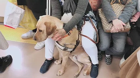 Nixon sitting in between Nina's legs on the train