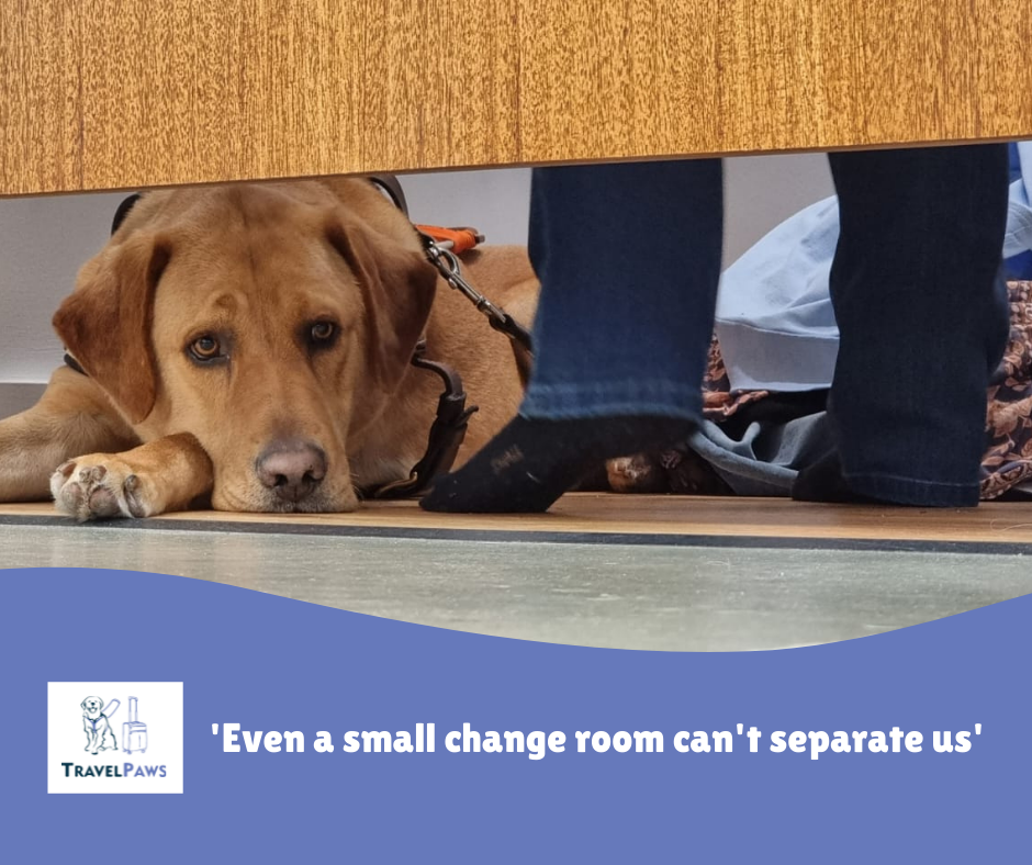 Golden Labrador, Assistance Dog Nixon lying down in small change room. Head resting on his front paws. Very calm. Very relaxed. His Handler Nina’s feet beside his head. Adorned by TravelPaws logo. Caption reads 'Even a small changeroom can't separate us'