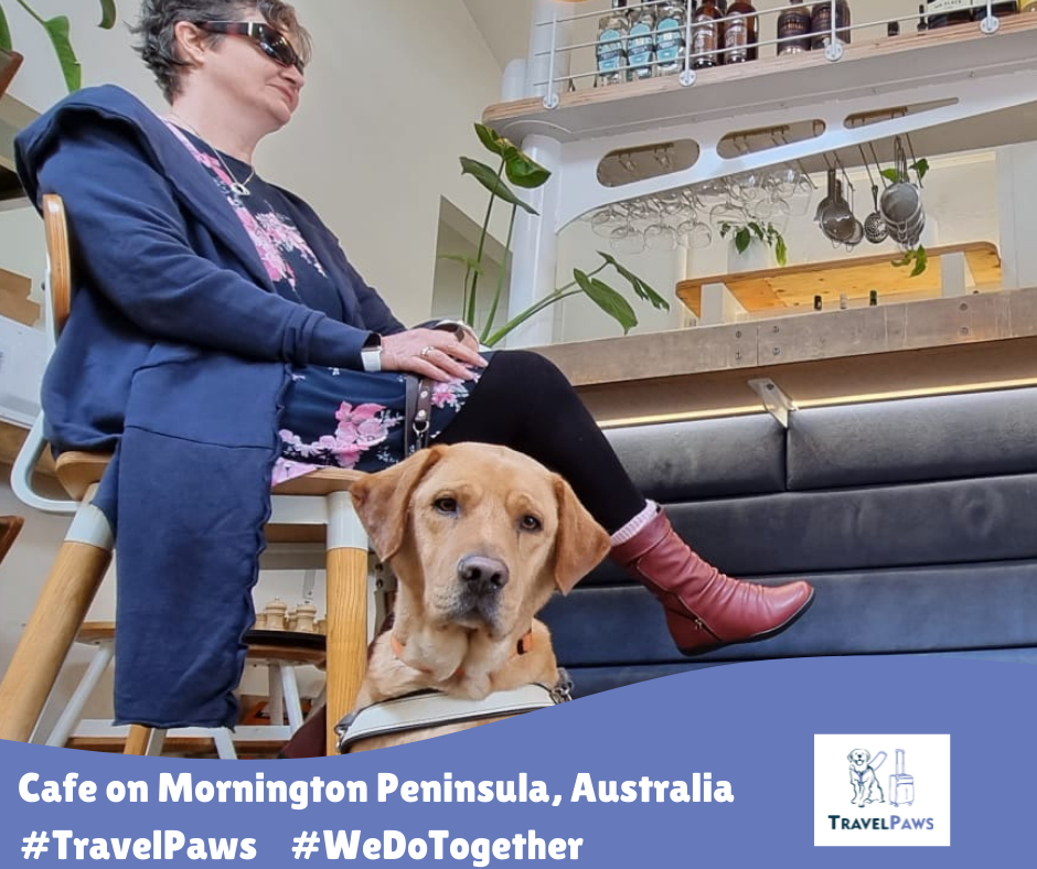 Golden Labrador Assistance Dog Nixon sitting in front of his Handler Nina who is sitting on a stool at the counter of a Cafe waiting for a coffee. Caption reads 'Cafe on Mornington Peninsula, Australia' adorned with TravelPaws logo, Hash tags #TravelPaws #WeDoTogether