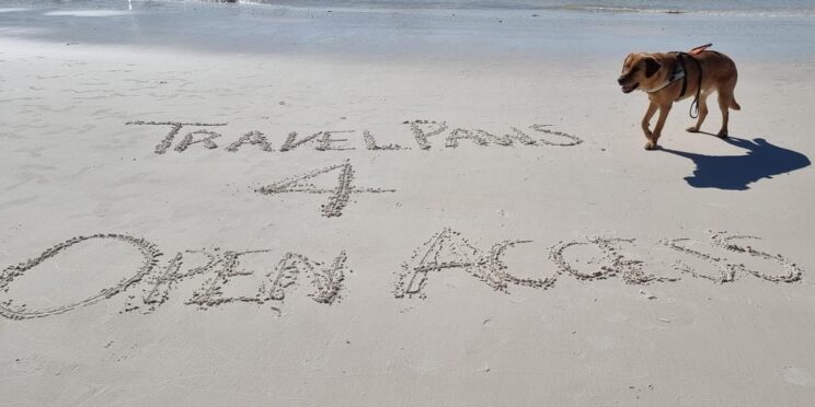 TravelPaws4OpenAccess Golden Labrador Nixon, wearing his identifying harness, walks towards writing in the sand which reads 'TravelPaws 4 Open Access.'