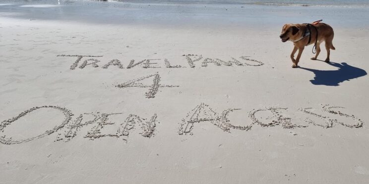 Golden Labrador Nixon, wearing his identifying harness, walks towards writing in the sand which reads 'TravelPaws 4 Open Access.'