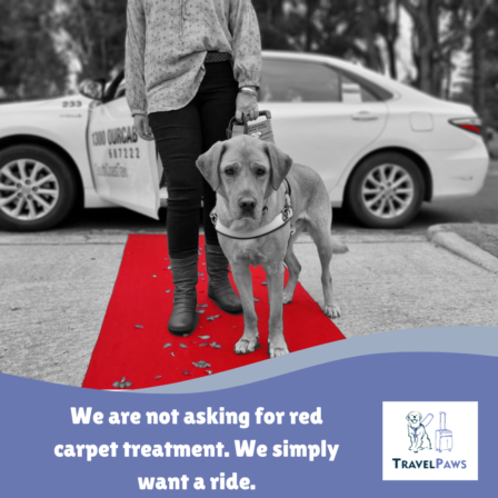 TaxiRedCarpet2 Golden Labrador Assistance Dog Nixon, wearing his identifying harness, stands on a red carpet with his Handler, Nina. Behind them, there is a parked taxi with an open door. The caption reads 'we are not asking for red carpet treatment. We simply want a ride.'