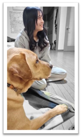 Assistance Dog Nixon, a golden Labrador, lies on the floor beside Nina's host family niece.