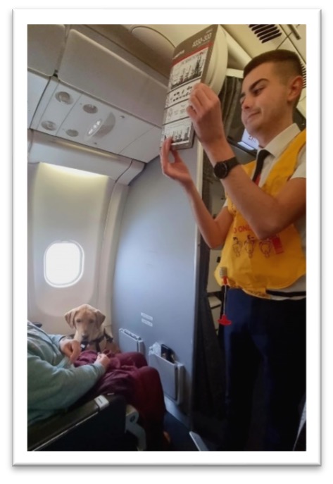 A Qantas flight attendant stands in the aeroplane aisle giving a safety demonstration. Beside him in a bulkhead seat is Nina and in the footwell is Assistance Dog Nixon, a golden Labrador.