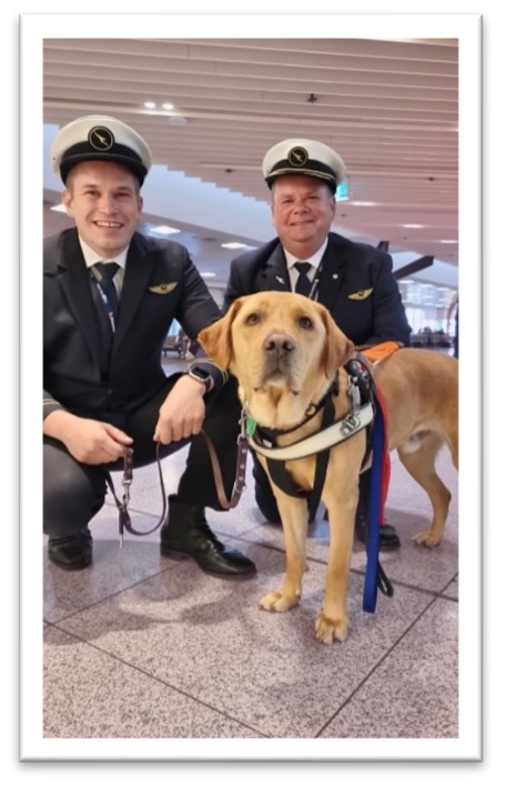 Assistance Dog Nixon, wearing his identifying harness, stands next to two Qantas pilots. The pilots are wearing full uniform and are crouching down to be at Nixon's level.