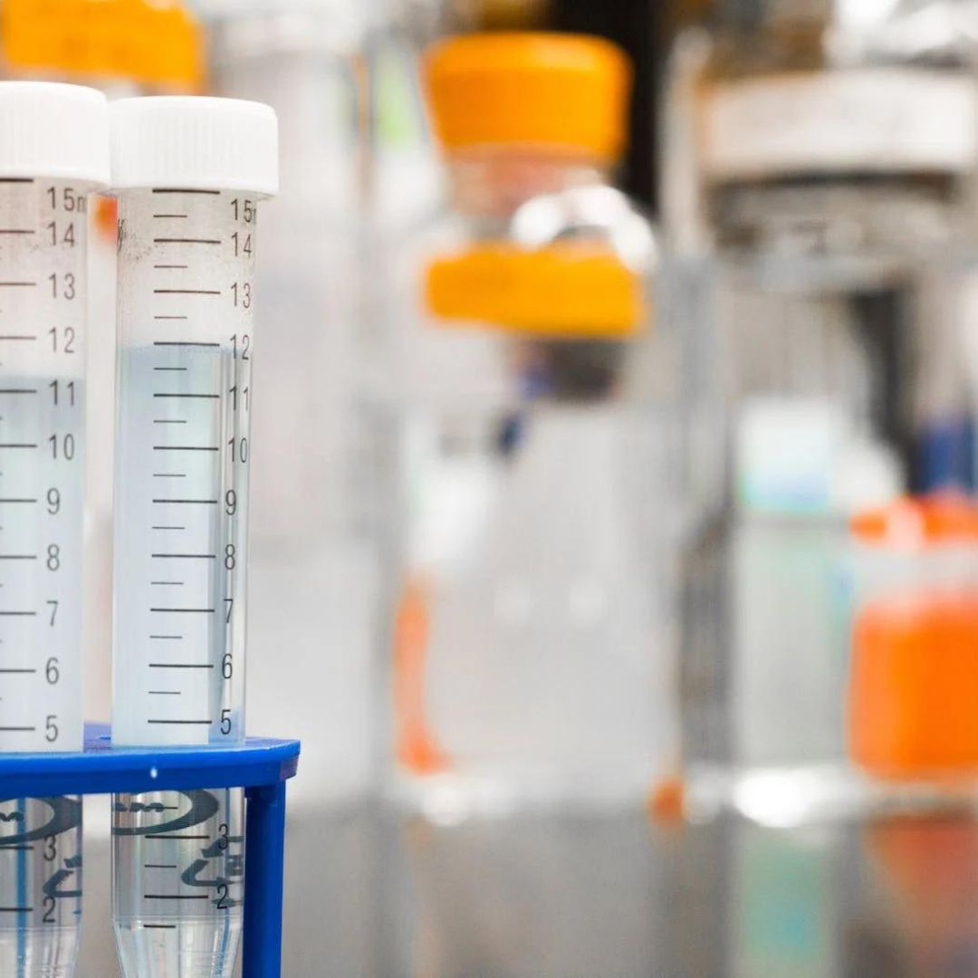 Two test tubes sit in a rack. In the background is other lab equipment that has been blurred out.