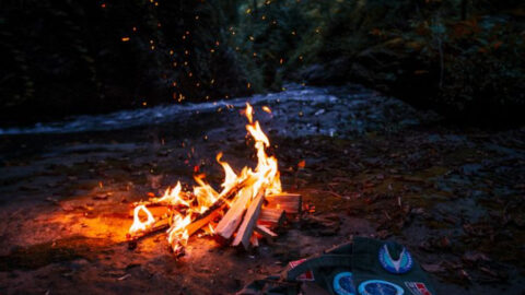 Photo of a burning campfire.