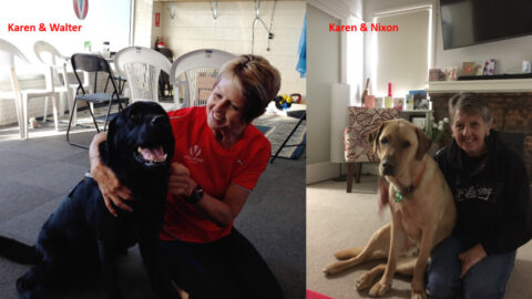 Two different photos side by side. Photo one shows Karen (the author) in a red top kneeling with her arm around Walter, a black Labrador Seeing Eye Dog. He is out of harness. Karen is looking at Walter, smiling with joy. Walter smiles with his head lifted high, enjoying the attention. Photo two shows Karen with Guide Dog Nixon, a golden Labrador. He wears no harness and sits leaning into Karen. She is wearing blue jeans and a blue jumper, kneeling with her arm around Nixon. They are both looking directly at the camera.