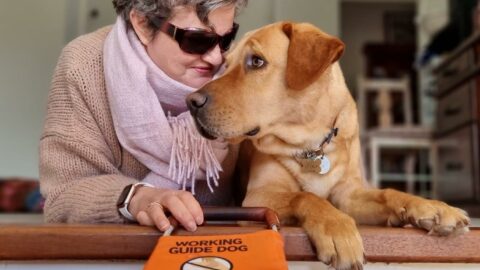 Nina, wearing a pink jumper and scarf, lays on her stomach looking lovingly at Assistance Dog Nixon, a golden Labrador. Nixon returns Nina's loving gaze. Nina's hand rests on Nixon's identifying harness, which has been laid on the floor in front of the pair.